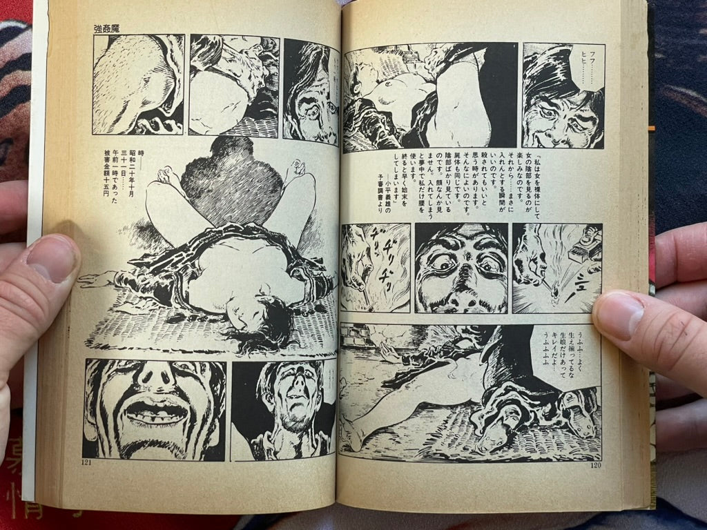 Lustful Flesh Shibari by Kasama Shiro (1980)-thumbmail-6