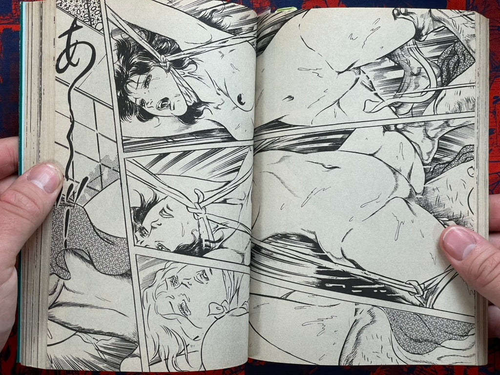 Sexy Doll by Hatano Emi (1983)-thumbmail-9