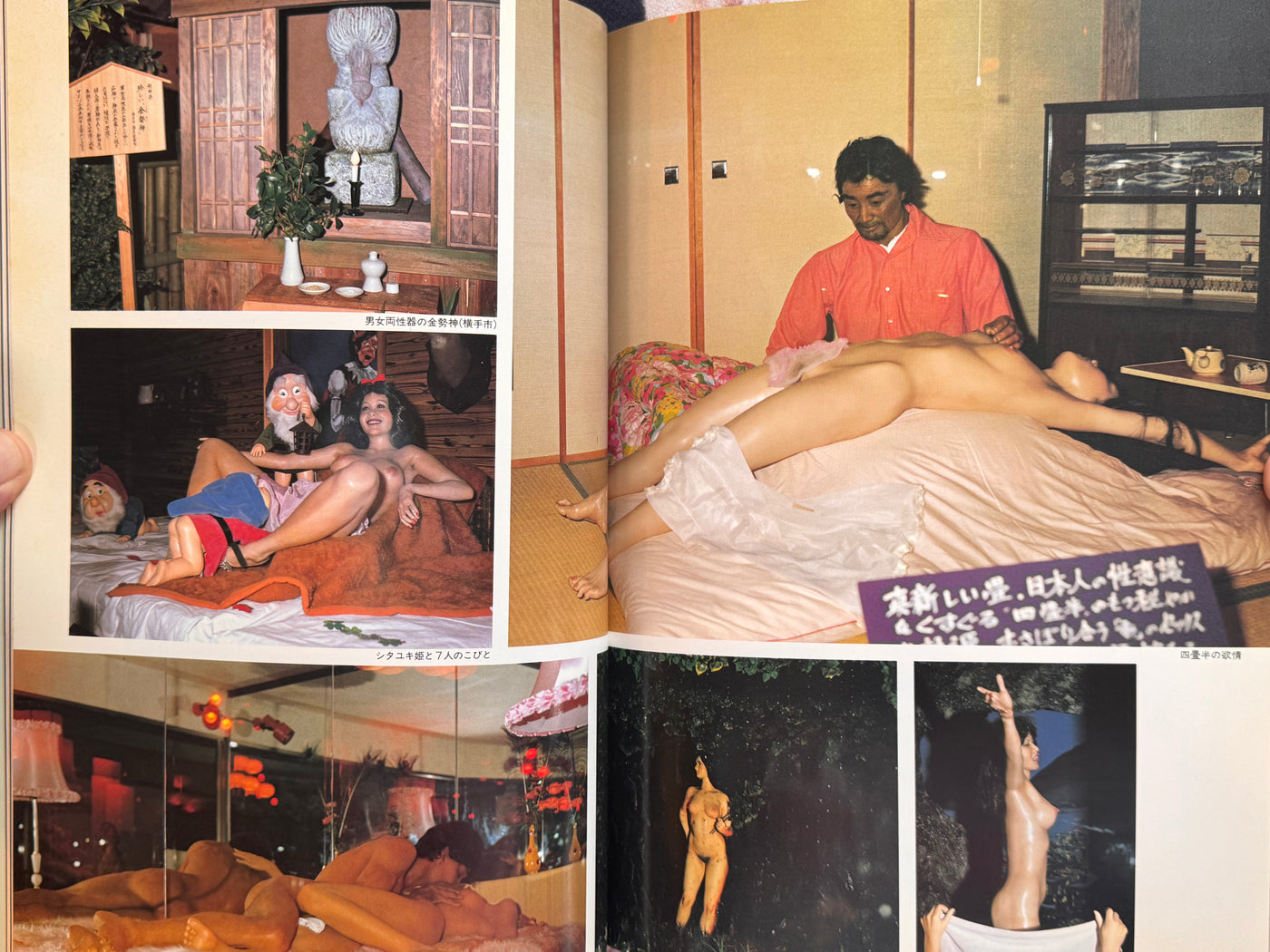 The Hihoukan - Viva Sex Now!! (1982)