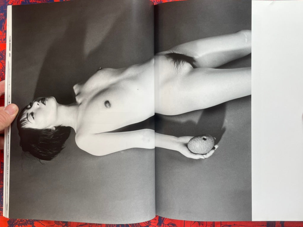 Deja-Vu No. 20 Summer 1995: Araki Nobuyoshi and the "I Novel" (1995)
