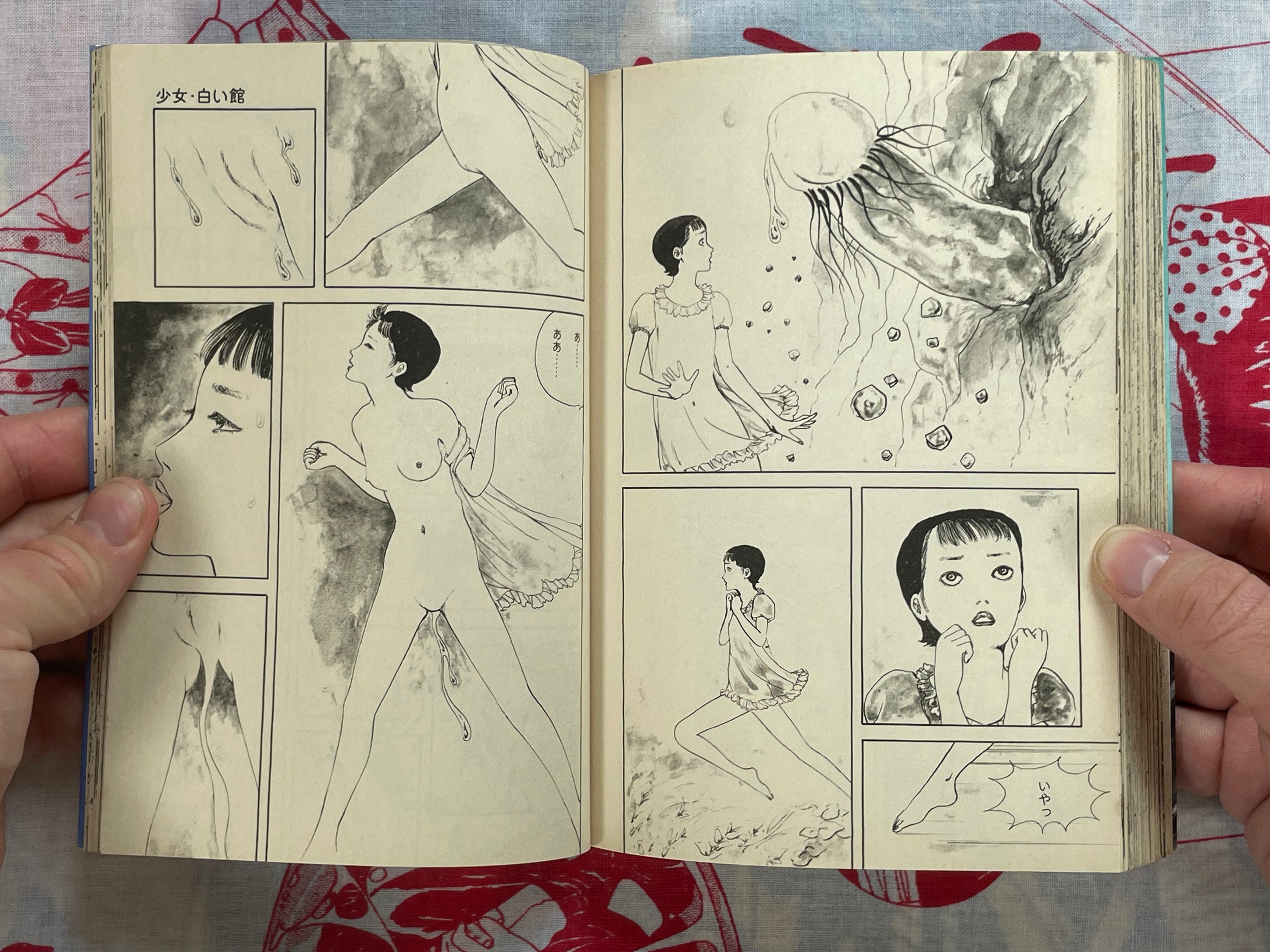 Girl / White Manor by Shunichi Muraso (1981)