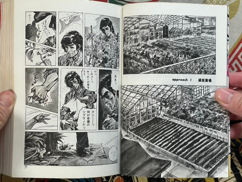 Tanomare Joe by Ken Tsukikage, Kajikawa Ryo (1978)