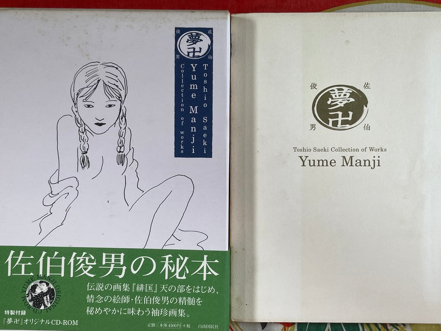 Toshio Saeki Yume Manji Collection of Works (1999)