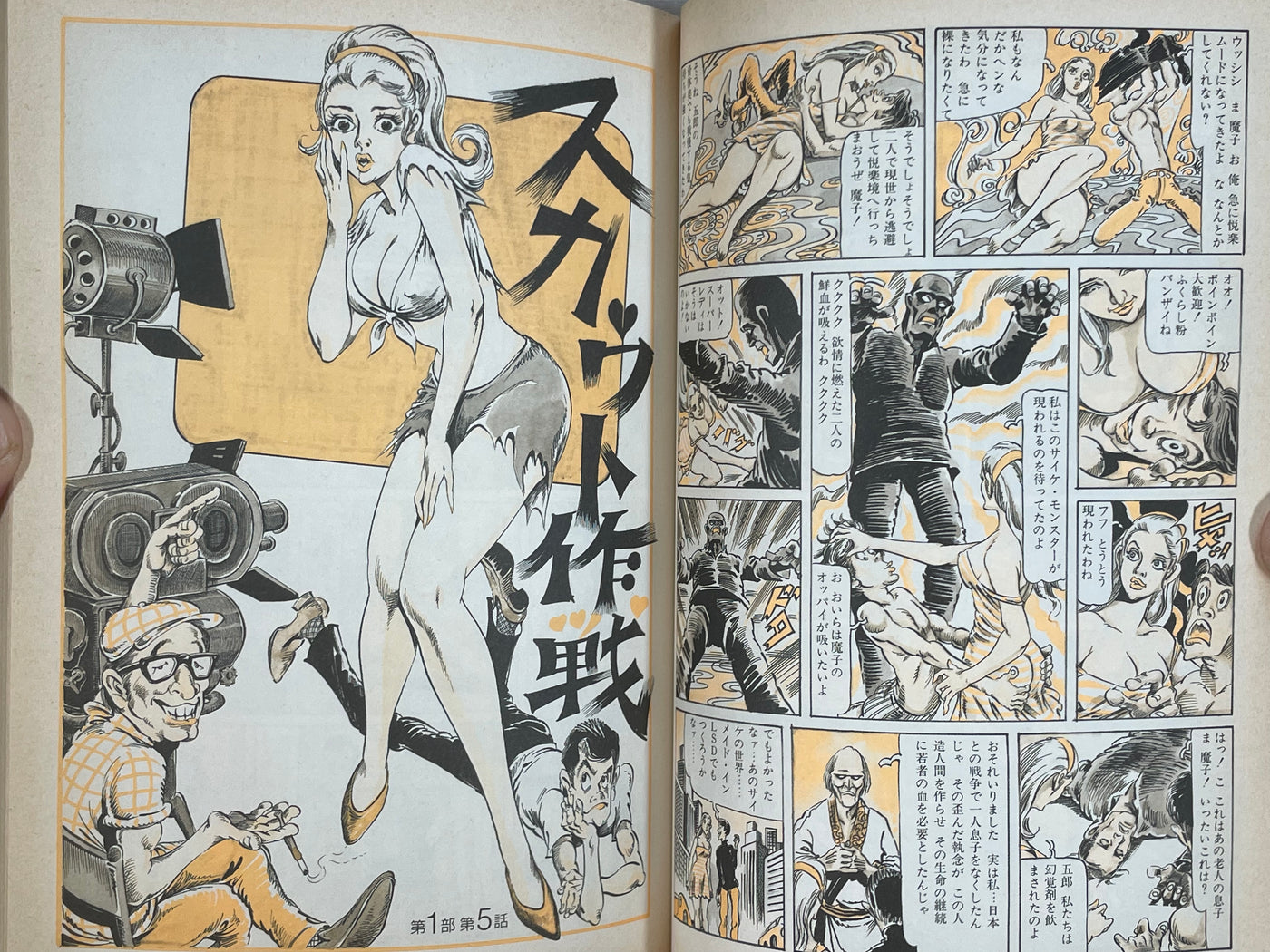 Super Lady Mako in Action by Shiro Kasama (1998)