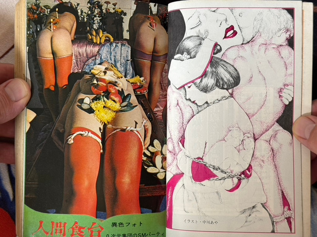 SM Fan Magazine (12/1972)