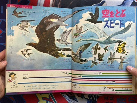 Why What Comparing Speed - Hardcover + Slipcover by Shogakukan (1972)