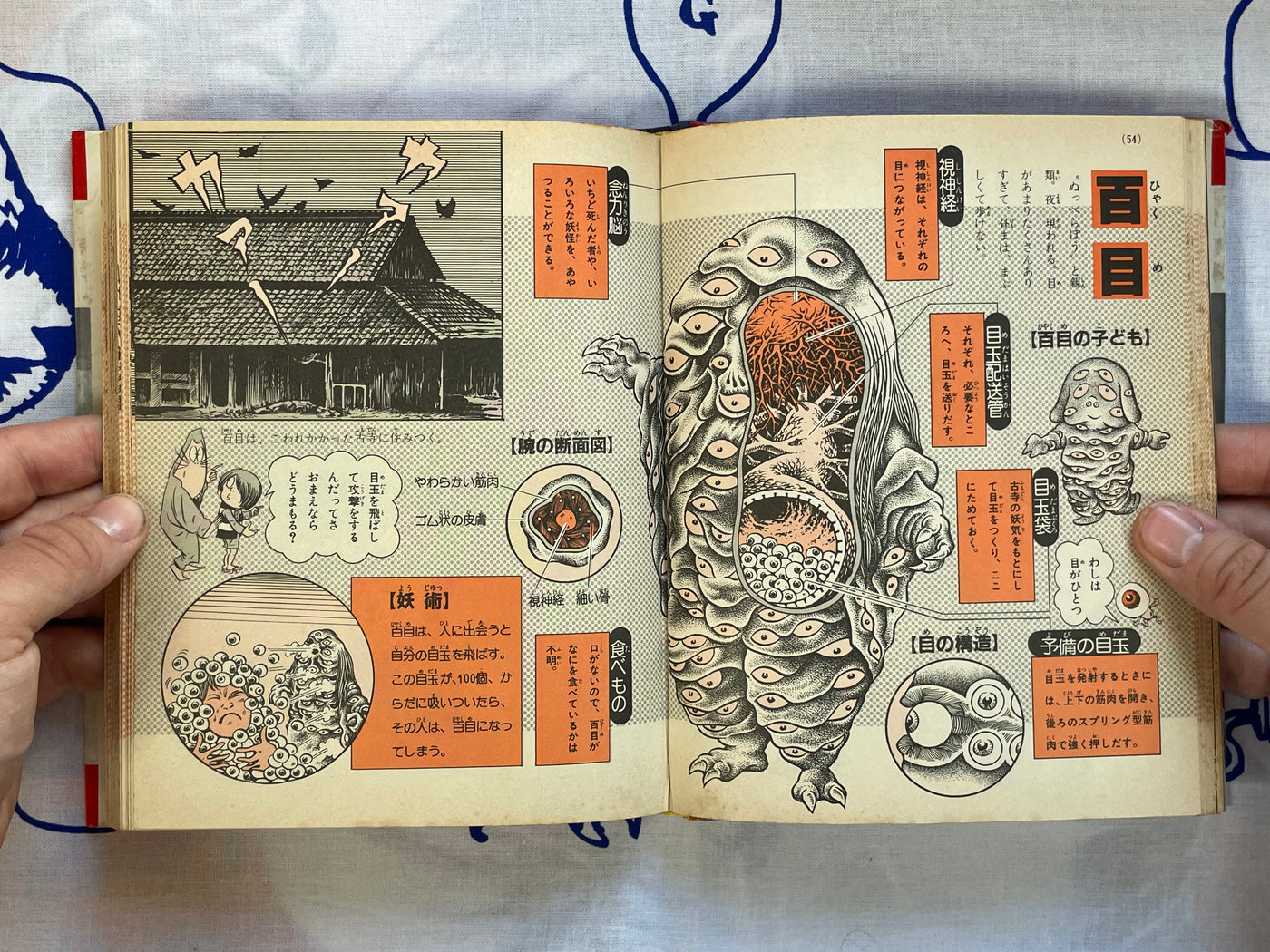 Yokai Pictorial - Hardcover by Mizuki Shigeru (1983) NEEDS DESCRIPTION