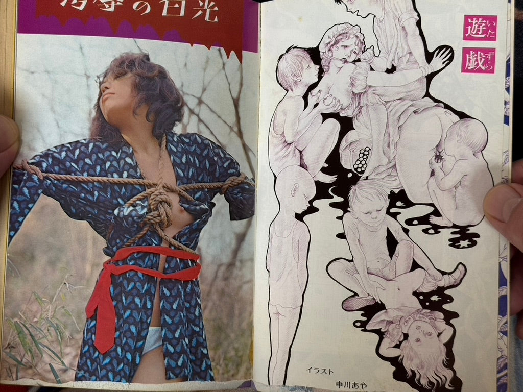 SM Fan Magazine (6/1972)