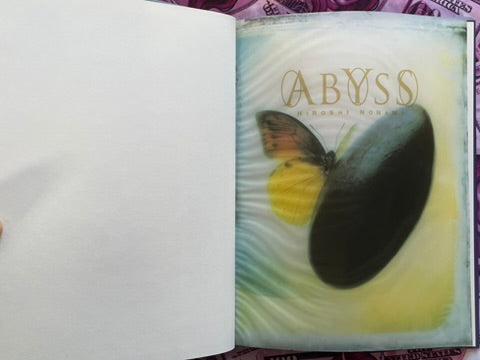 Abyss - Hardcover by Hiroshi Nonami (1993)