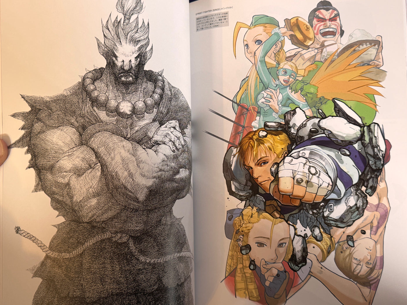 CAPCOM Street Fighters Art Works Supremacy (2009)