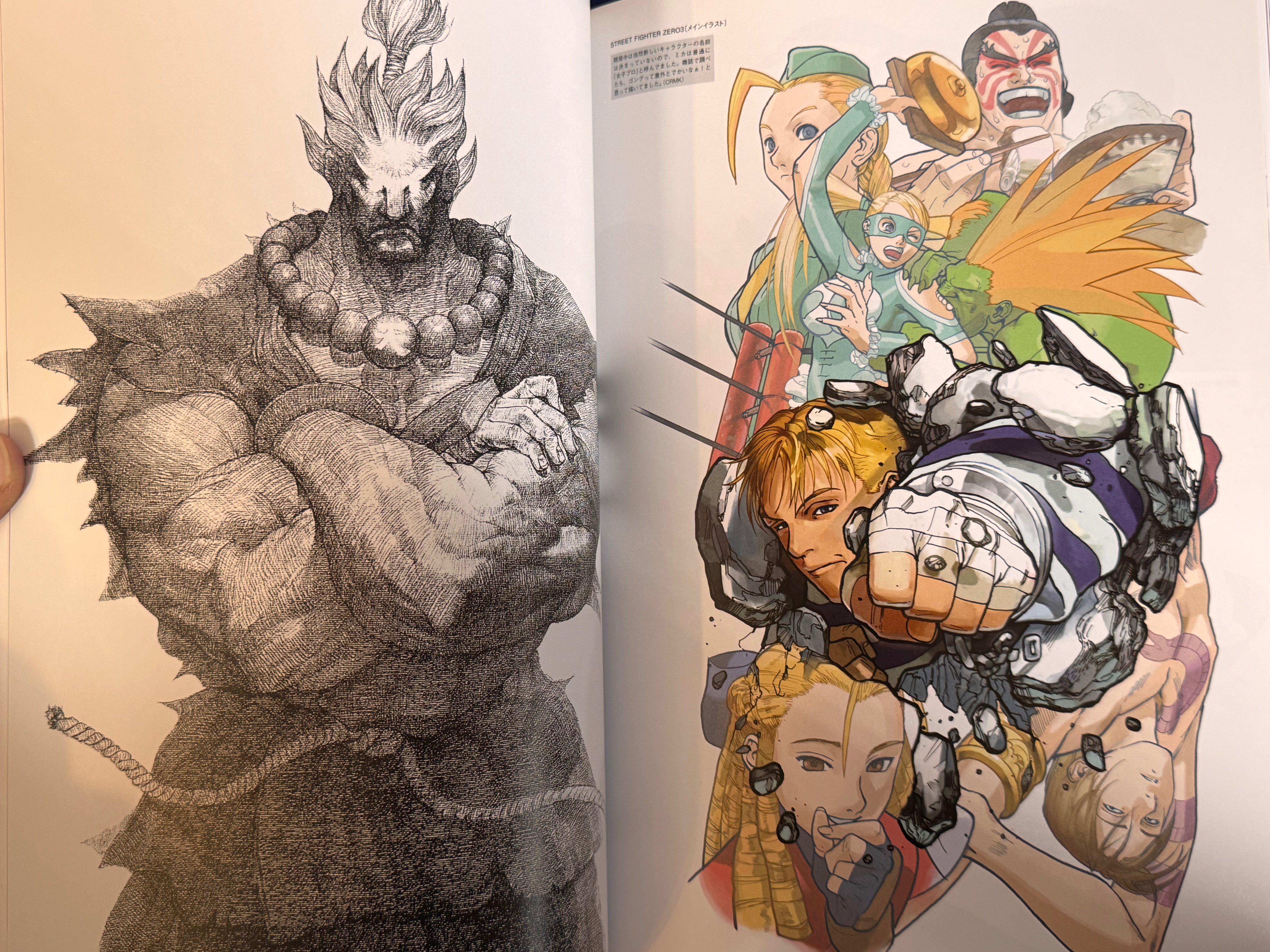 CAPCOM Street Fighters Art Works Supremacy (2009)