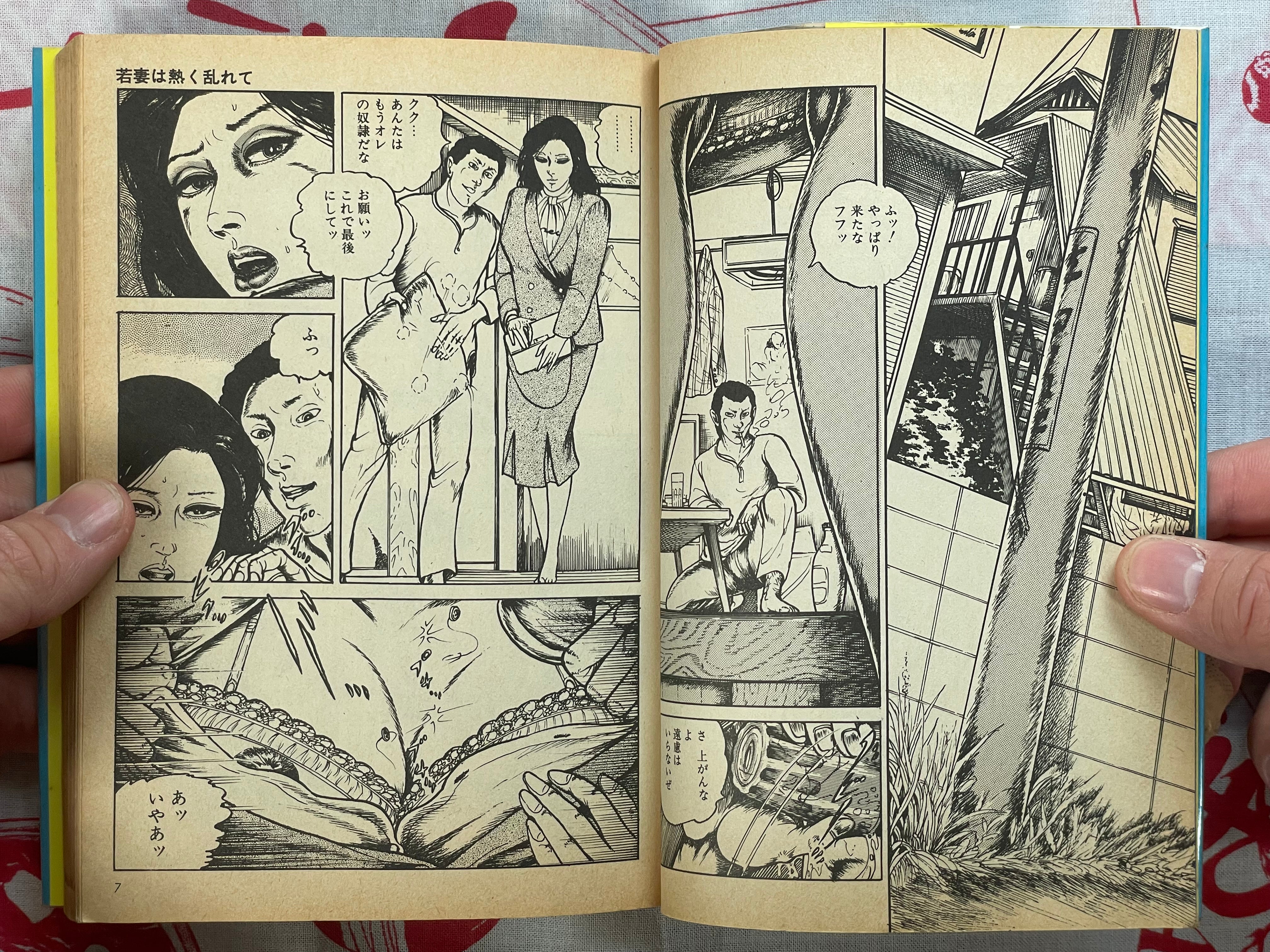 Wife's Secret by Tsutomi Sugiura (1988)