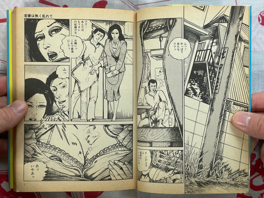 Wife's Secret by Tsutomi Sugiura (1988)