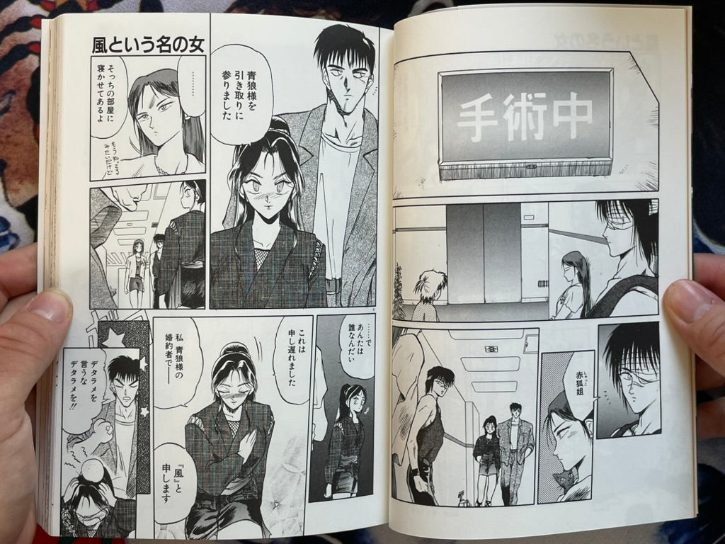 Rape + 2πr: Hurricane by Tennoji Kitsune (1994)