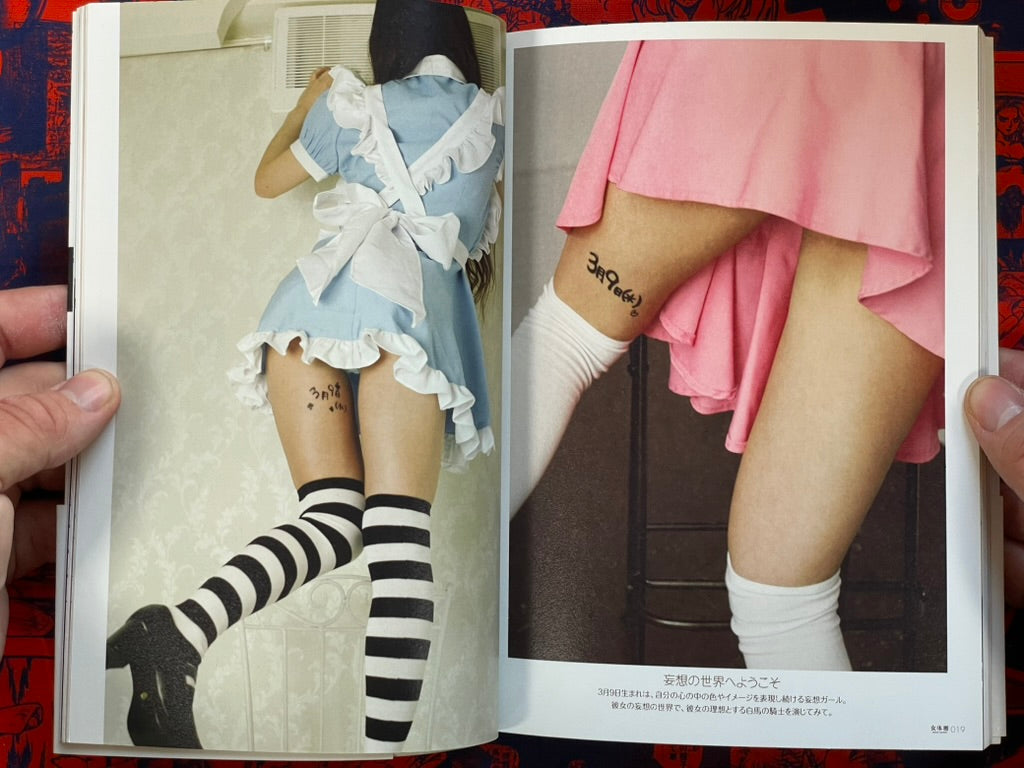 Girls Touch Painting / Nyotai Goyomi I: March and April (2011)