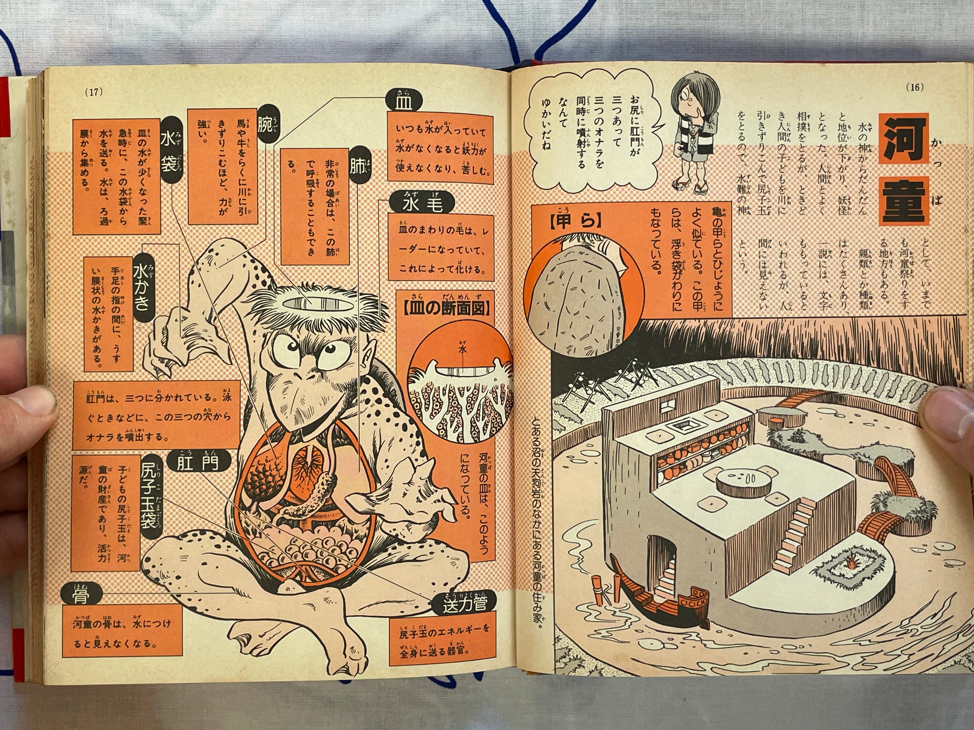 Yokai Pictorial - Hardcover by Mizuki Shigeru (1983) NEEDS DESCRIPTION
