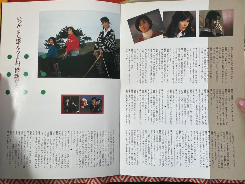 Movie Pamphlet: Sukeban Deka 2 Volume Set w/Supplemental