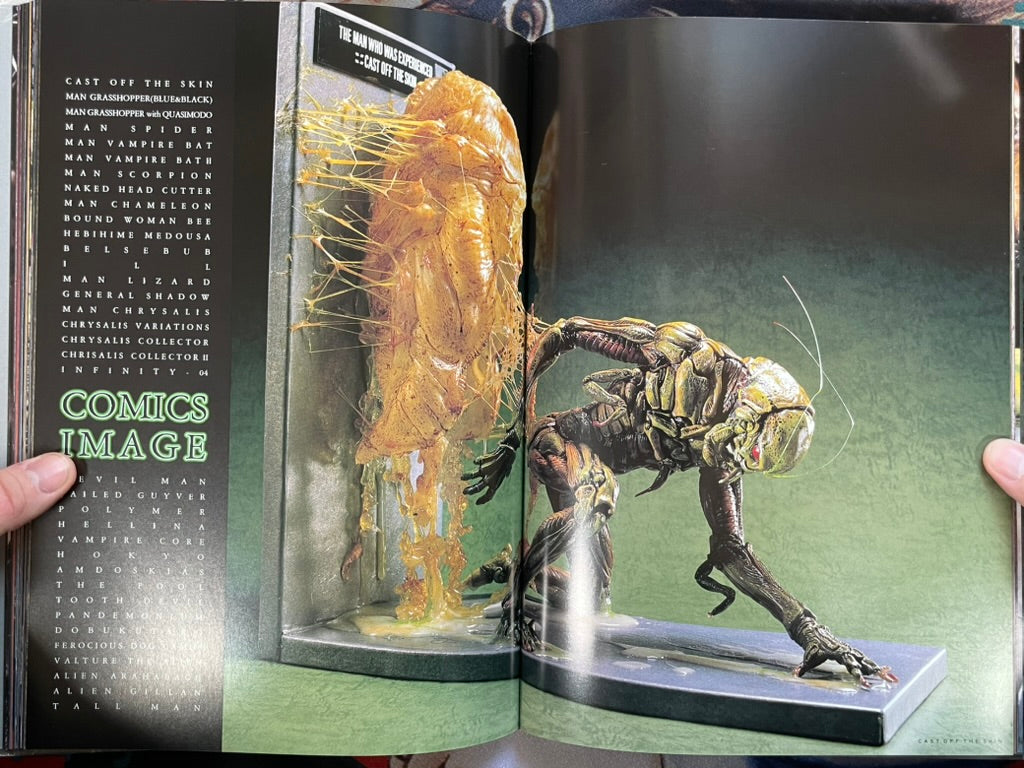 Nira Works by Yasushi Nirasawa (1998 First Edition)-thumbmail-8