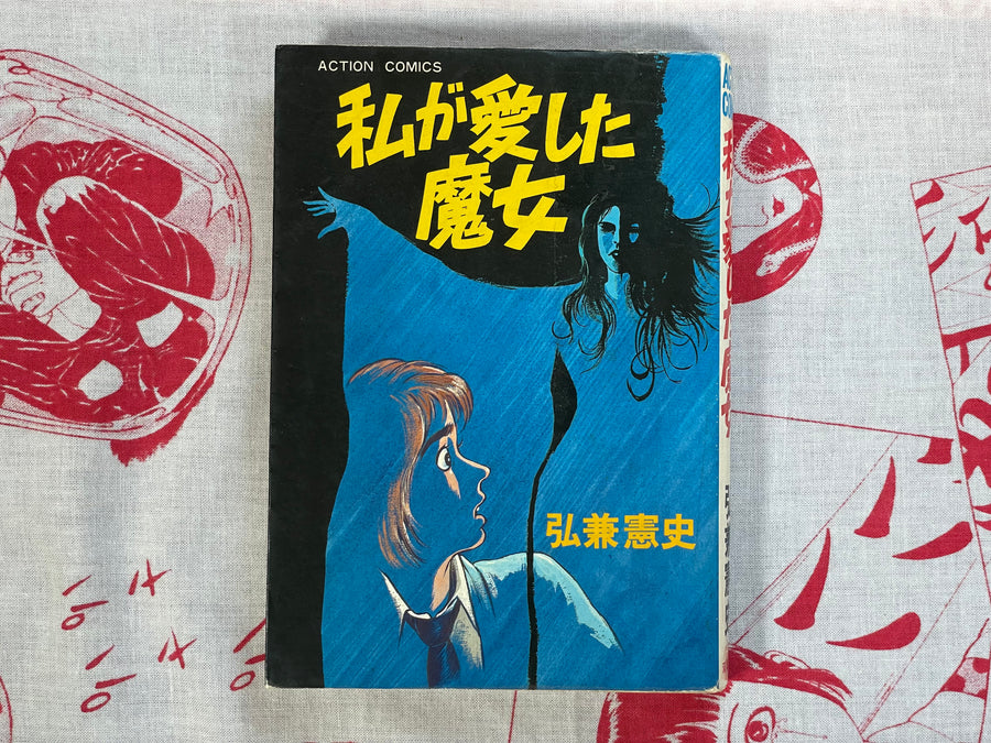 The Witch I Loved by Kenshi Hirokane (1980)