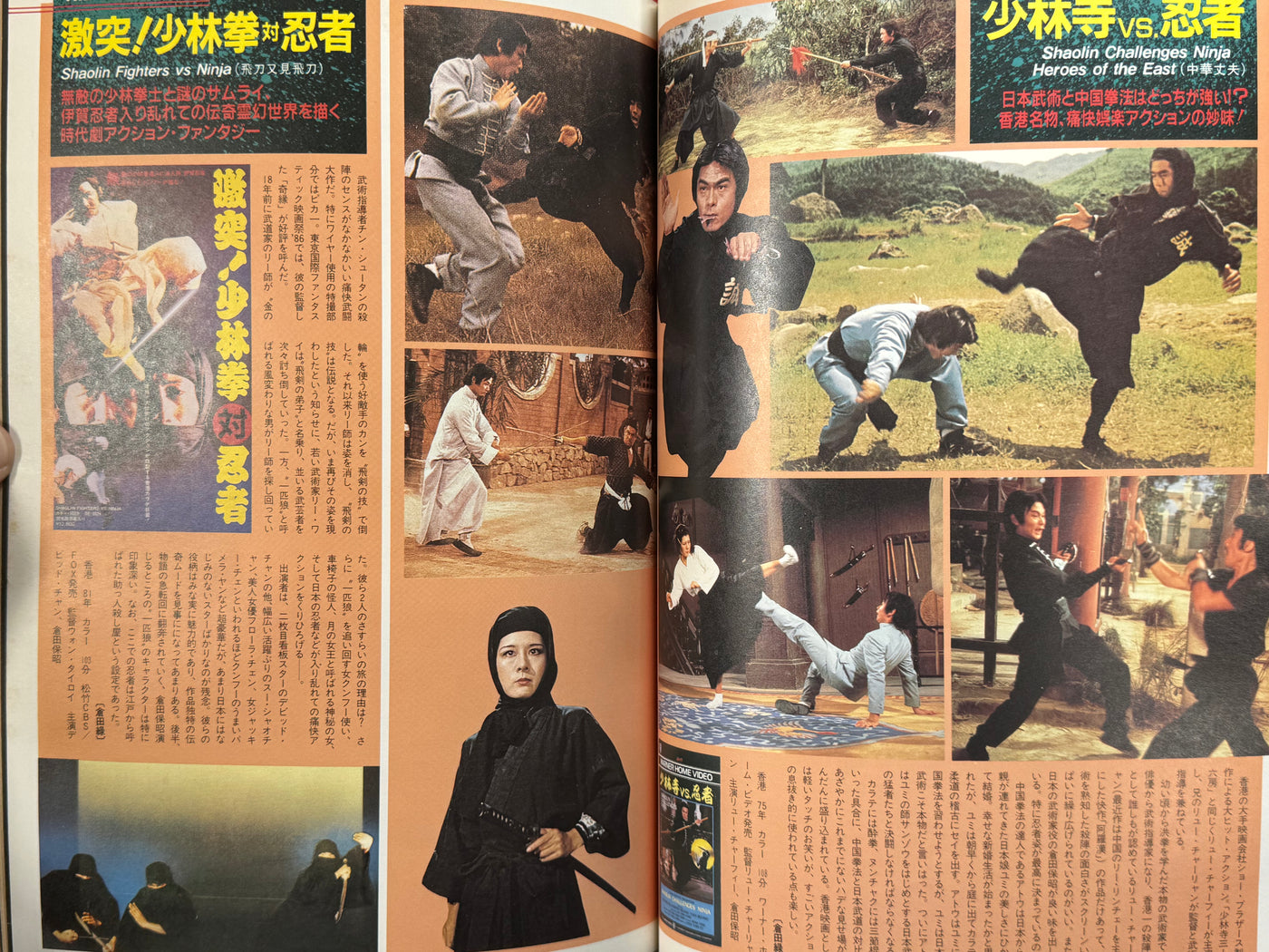 The Ninja Movies (1987)