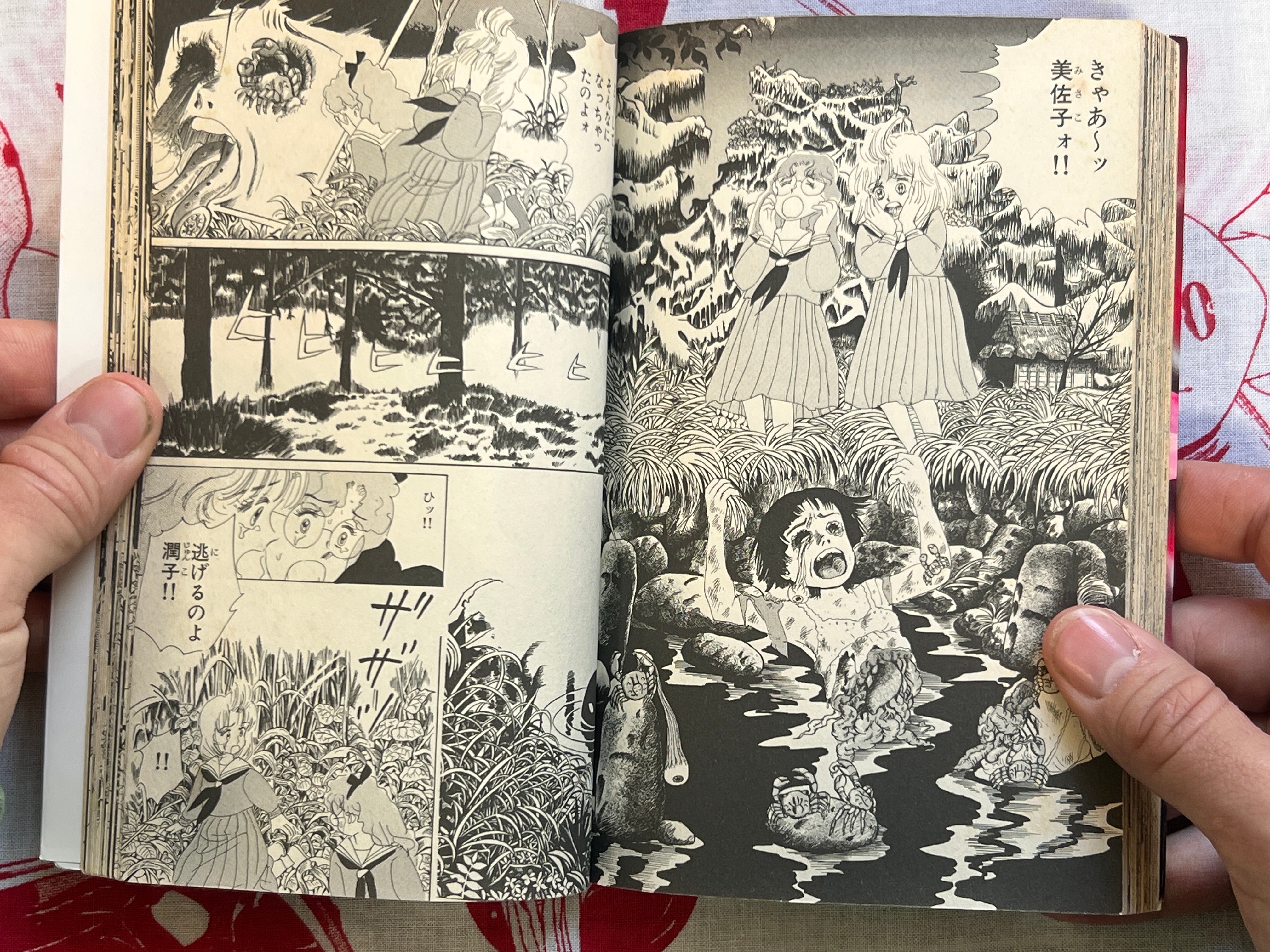 Scary Eyed Monster by Yumeji Tanima (1994)