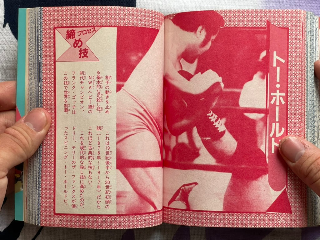 Pro Wrestling Finishing Move Encyclopedia - Bunko Edition (1984)