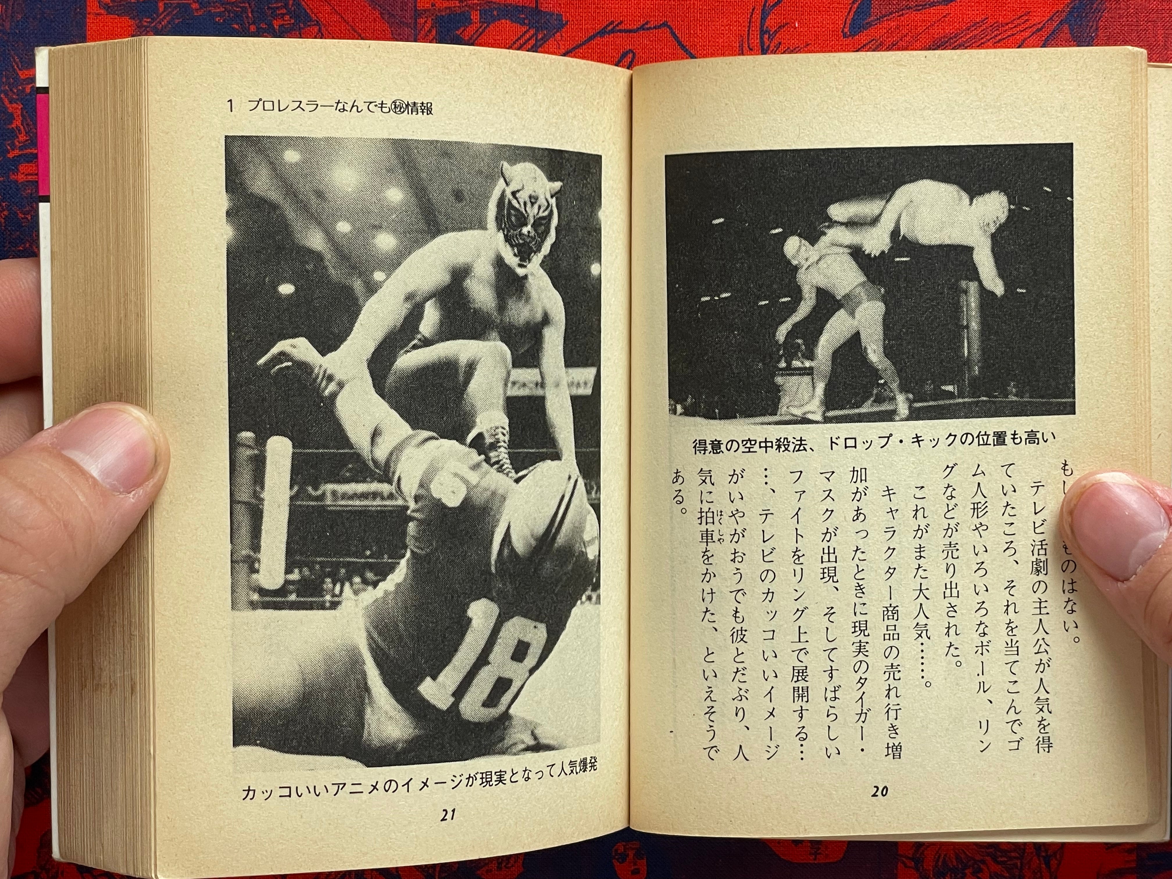 Pro Wrestling Everything Professor - bunko sized by Morioka Riu (1982)