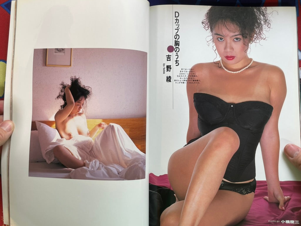 Wani Mook: Best Shot!! (1993)