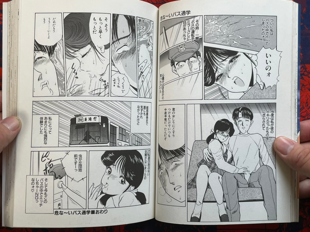 Strawberry Paradise by AKIRA (1995)