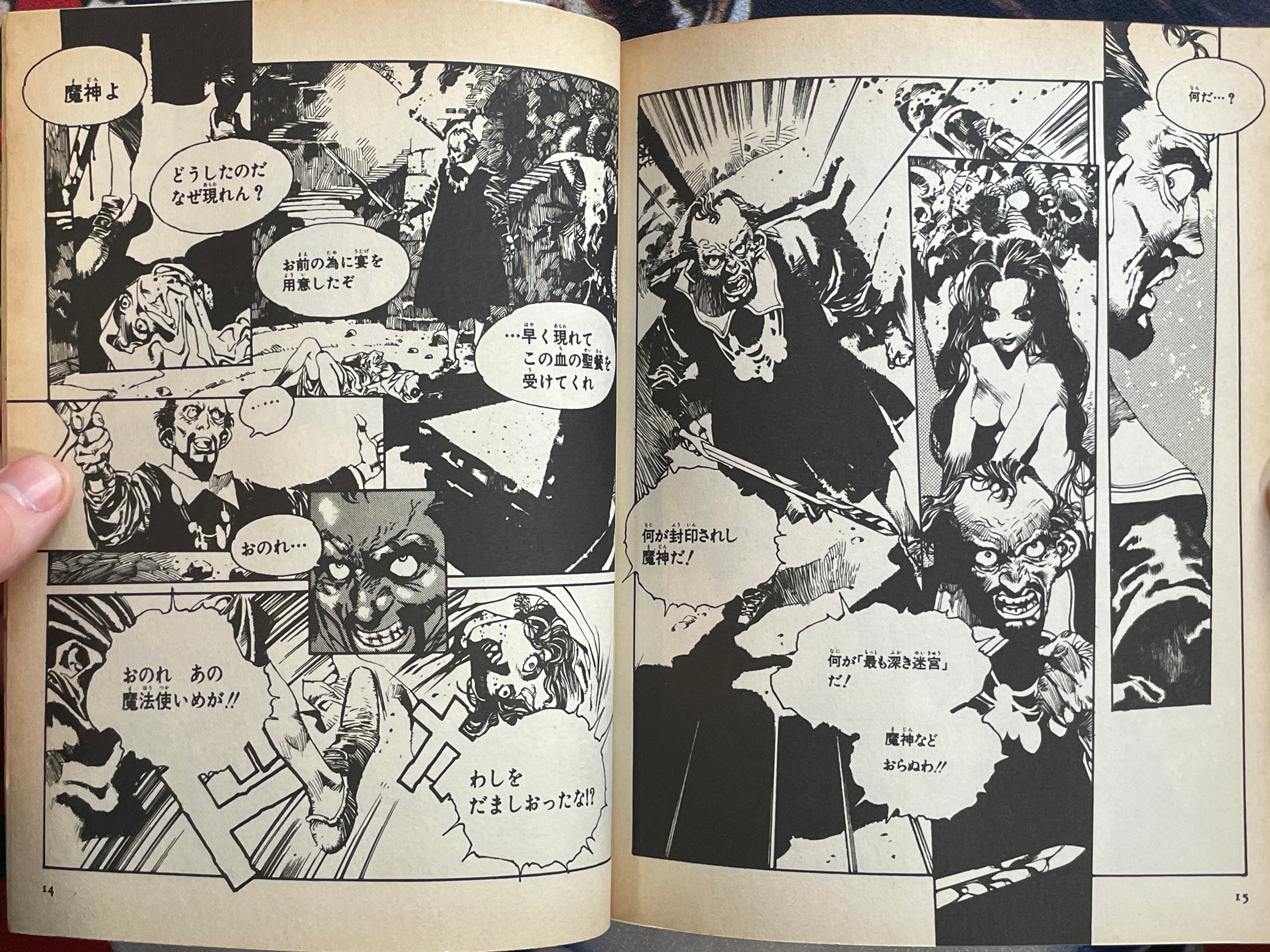Record of Lodoss War: The Lady of Pharisby by Akihiro Yamada & Ryo Mizuno (1994)