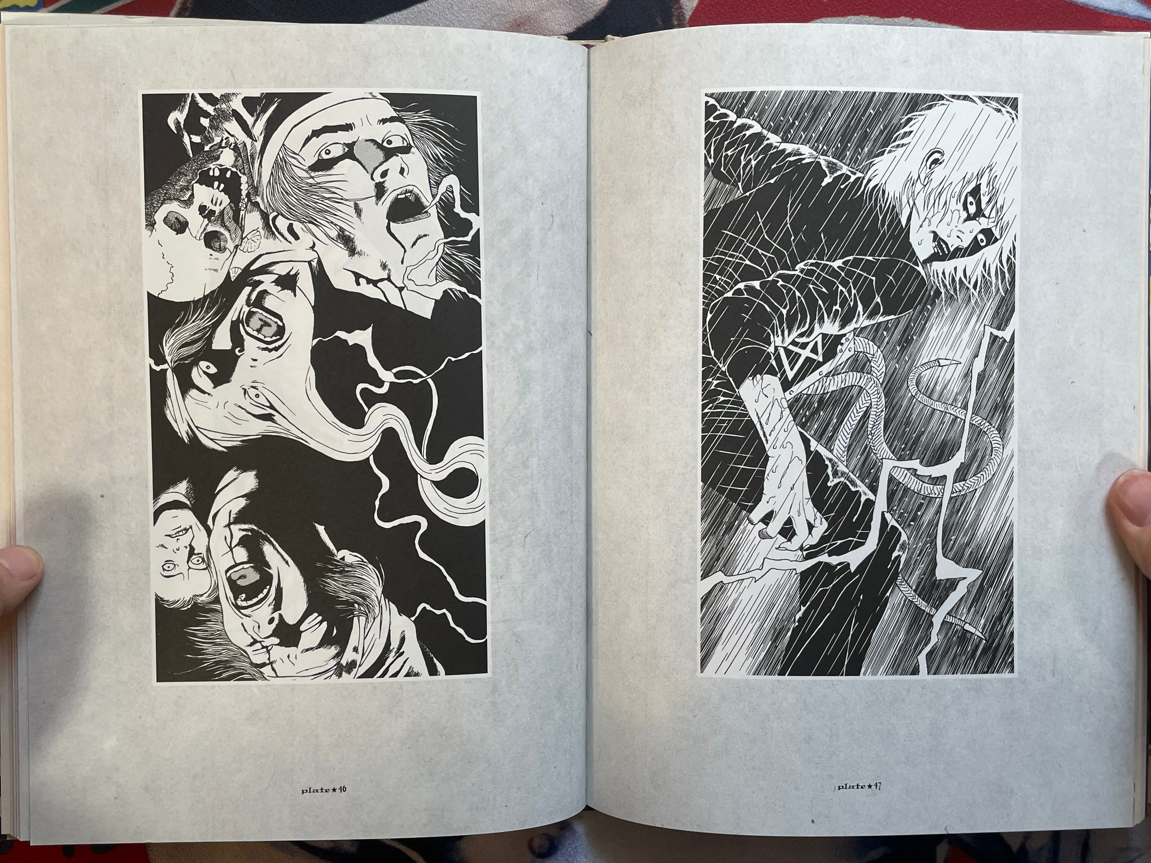 Maruograph I & II Set by Suehiro Maruo (1996)