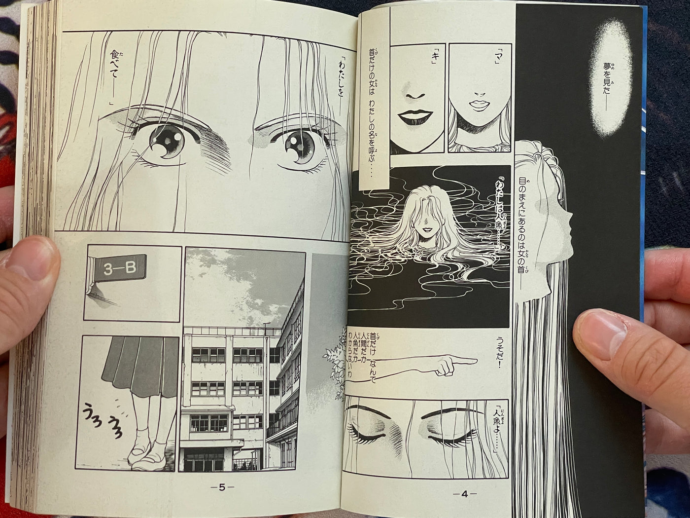 Mermaid's Head by Kaoru Ohashi (1995)