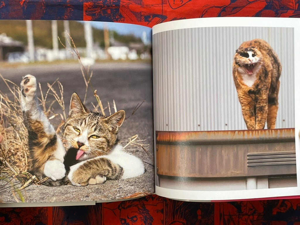 Too Desperate Cats - Single-Minded Edition by Oki Masayuki (2022)