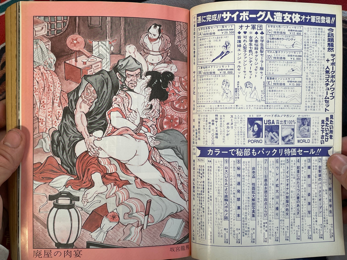 SM Phoenix Magazine (11/1984)
