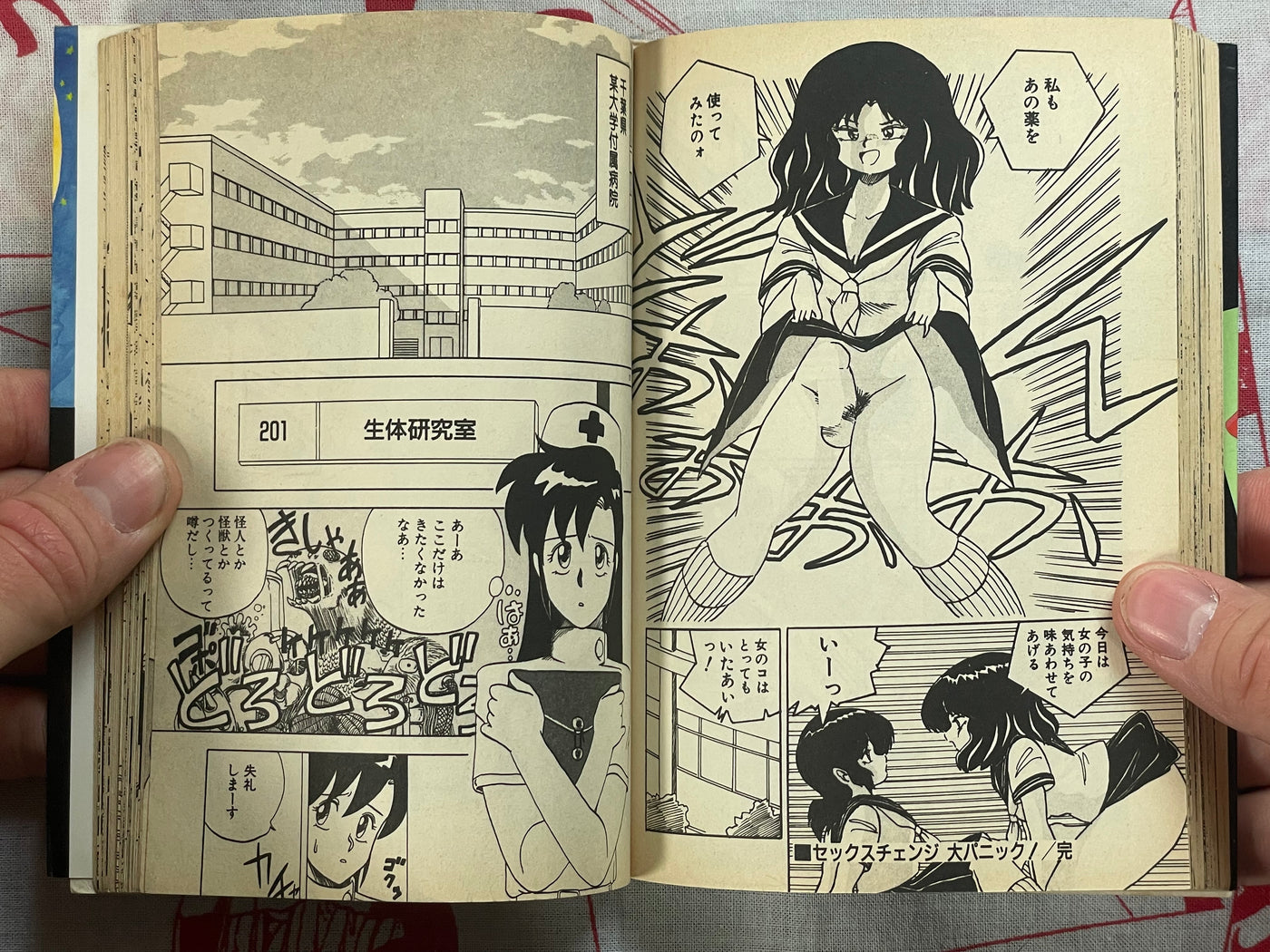 Big Panic Over That Girl! - bunko size by Kenzaki Mikuri et al (1991)