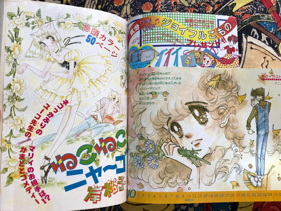Shojo Comic Magazine Extra Edition 9 (1980)