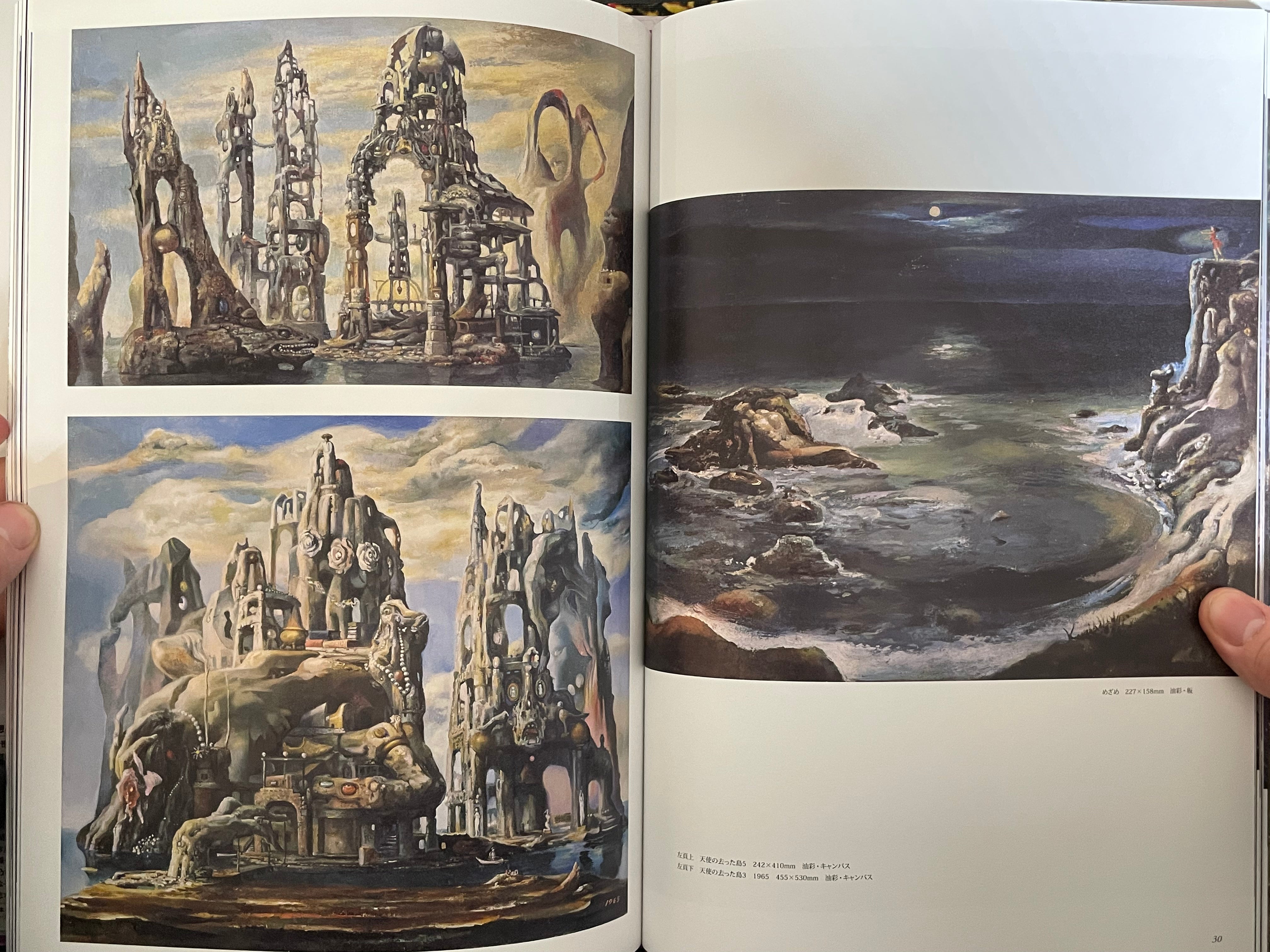 Ran Akiyoshi Illusory Works: Faraway Primordial Illusions - Hardcover (2025)