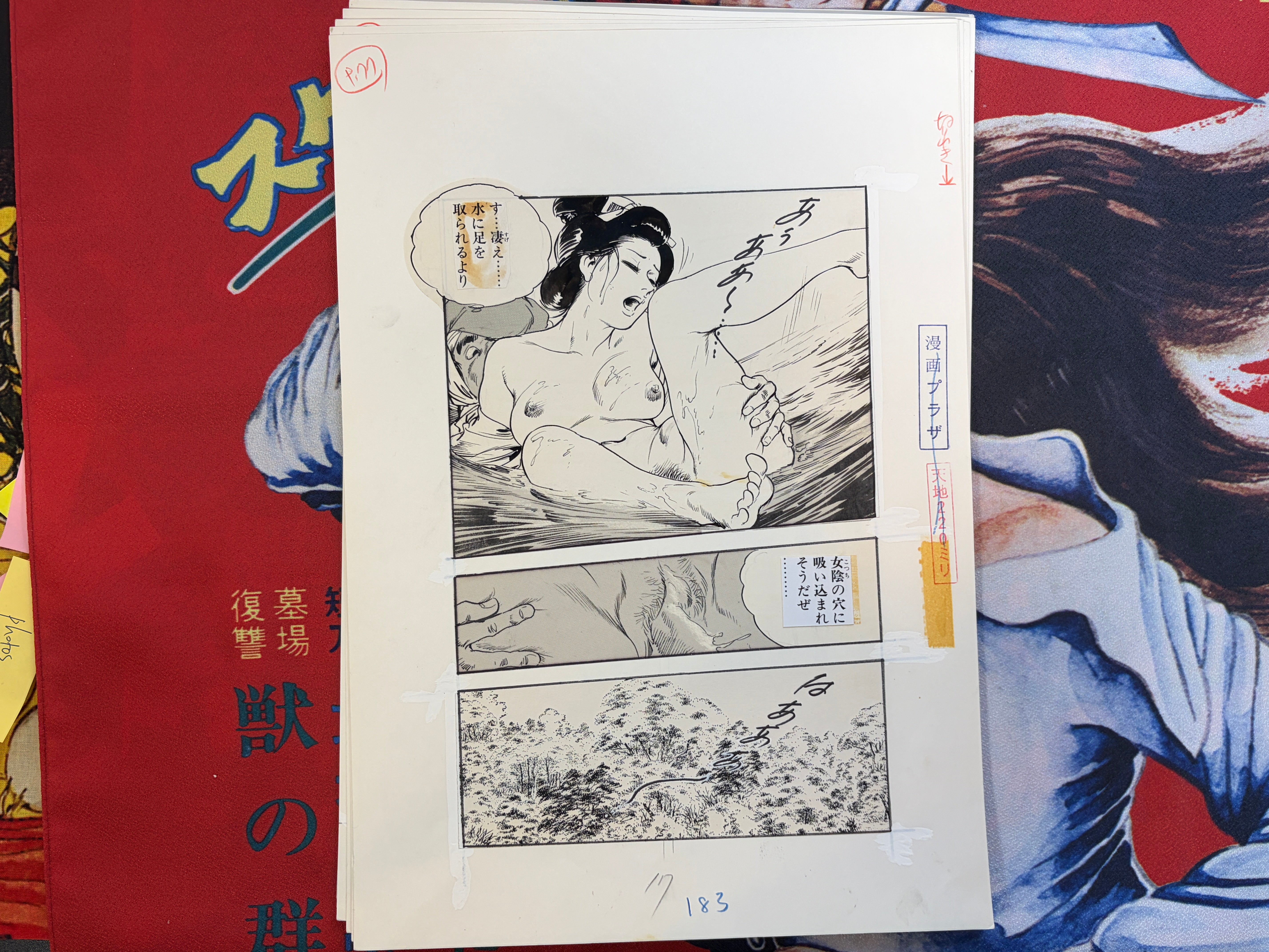 Ken Tsukikage Genga Artwork (Set of 22 Pages) - COE Included