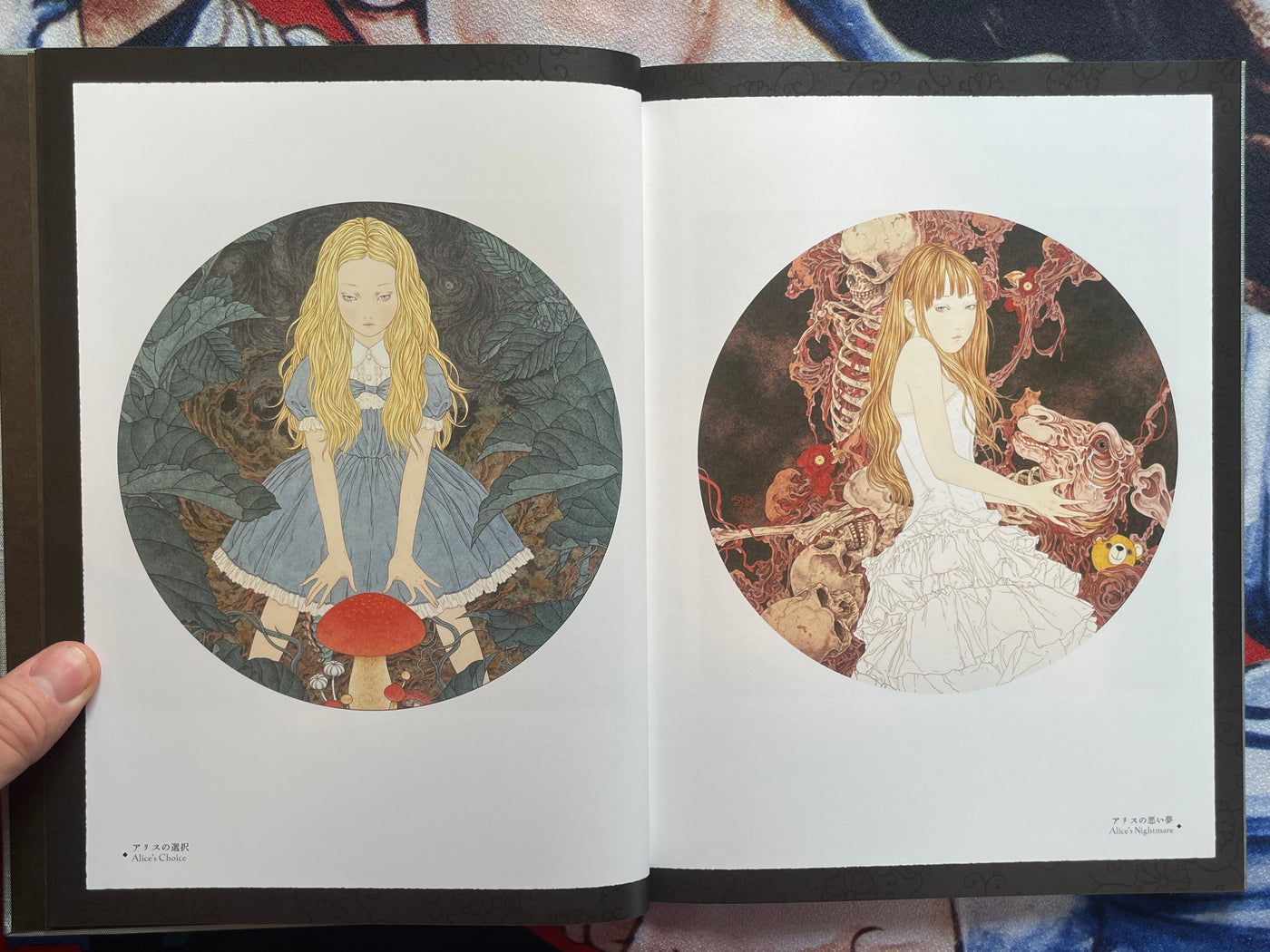 SIGNED Coffin of a Chimera by Yamamoto Takato - Hardcover + Slipcover (2024)