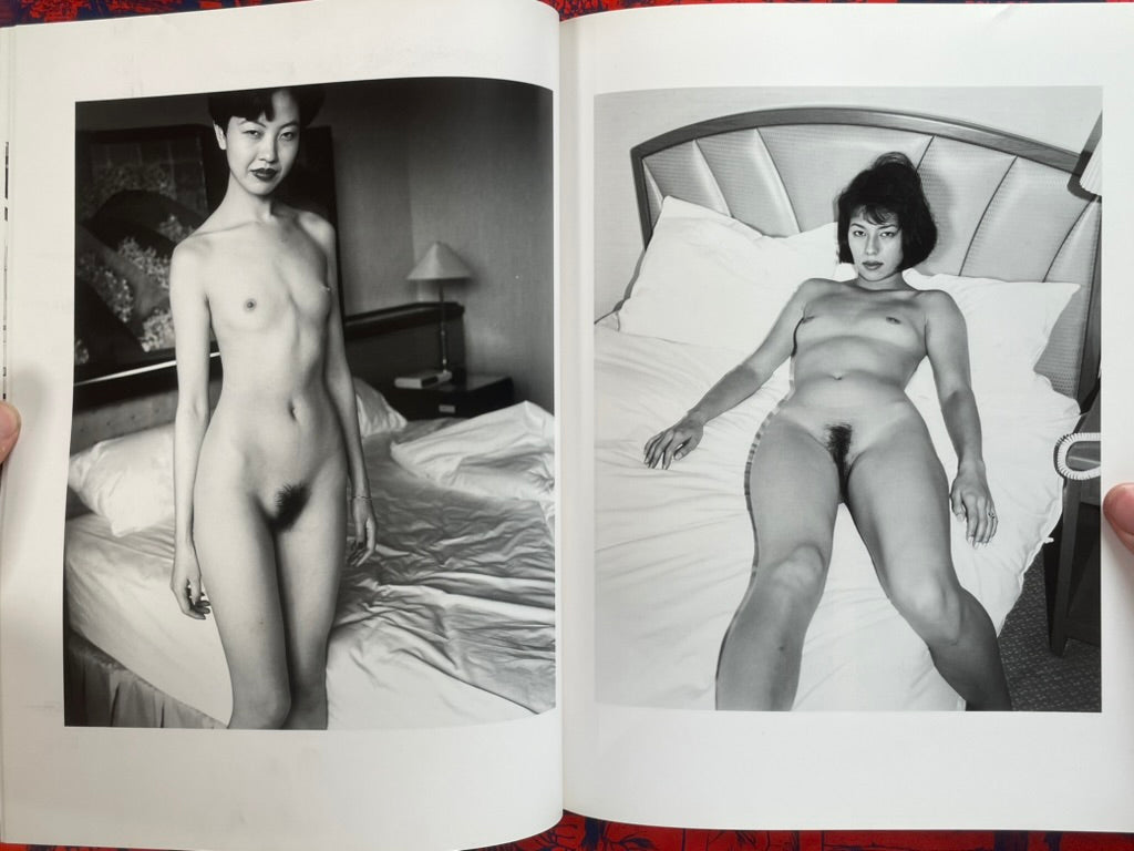 Deja-Vu No. 20 Summer 1995: Araki Nobuyoshi and the "I Novel" (1995)