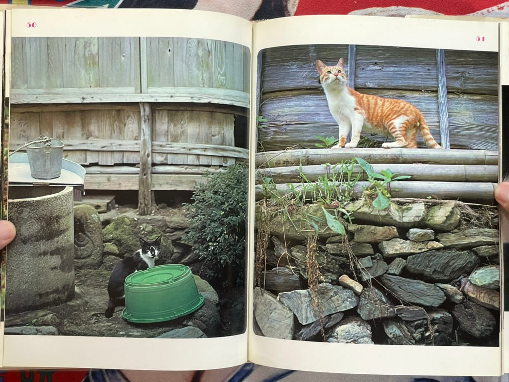 Carefree Japanese Cats - Hardcover by Honda Nobuo (1977)-thumbmail-11
