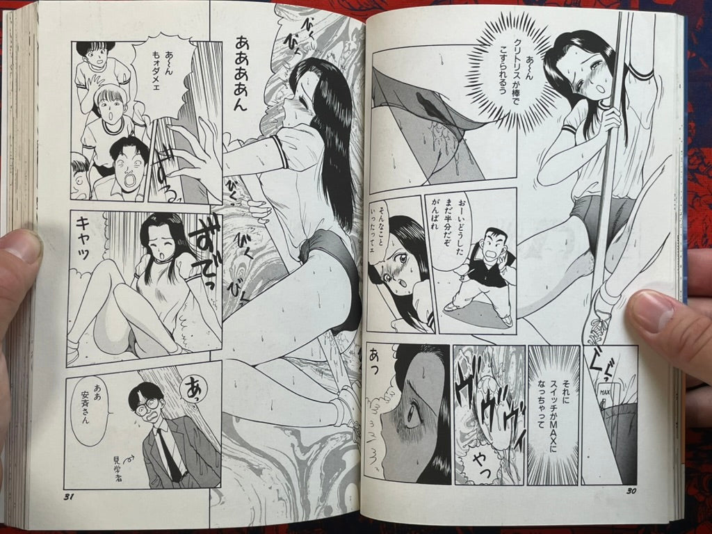 Strawberry Paradise by AKIRA (1995)