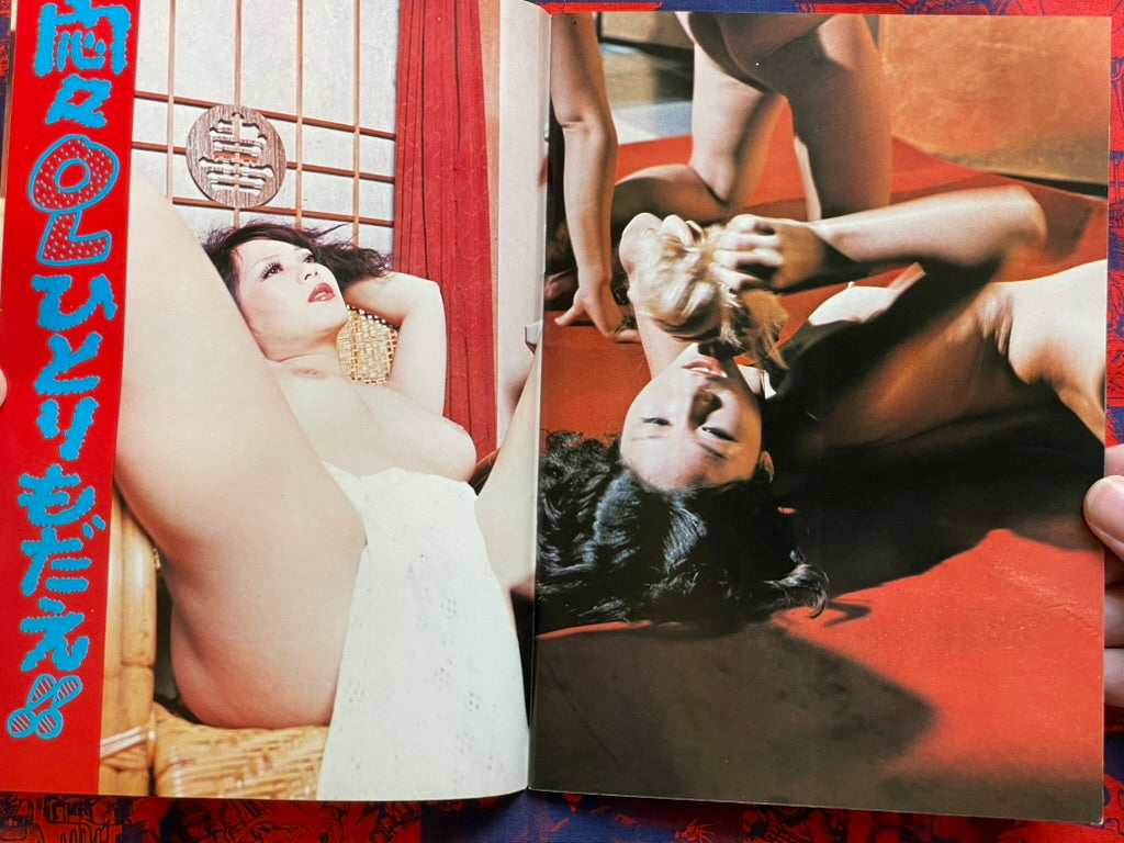 Ecstatic Pose Special Feature - Extra Edition Supplemental (early 1970s?)