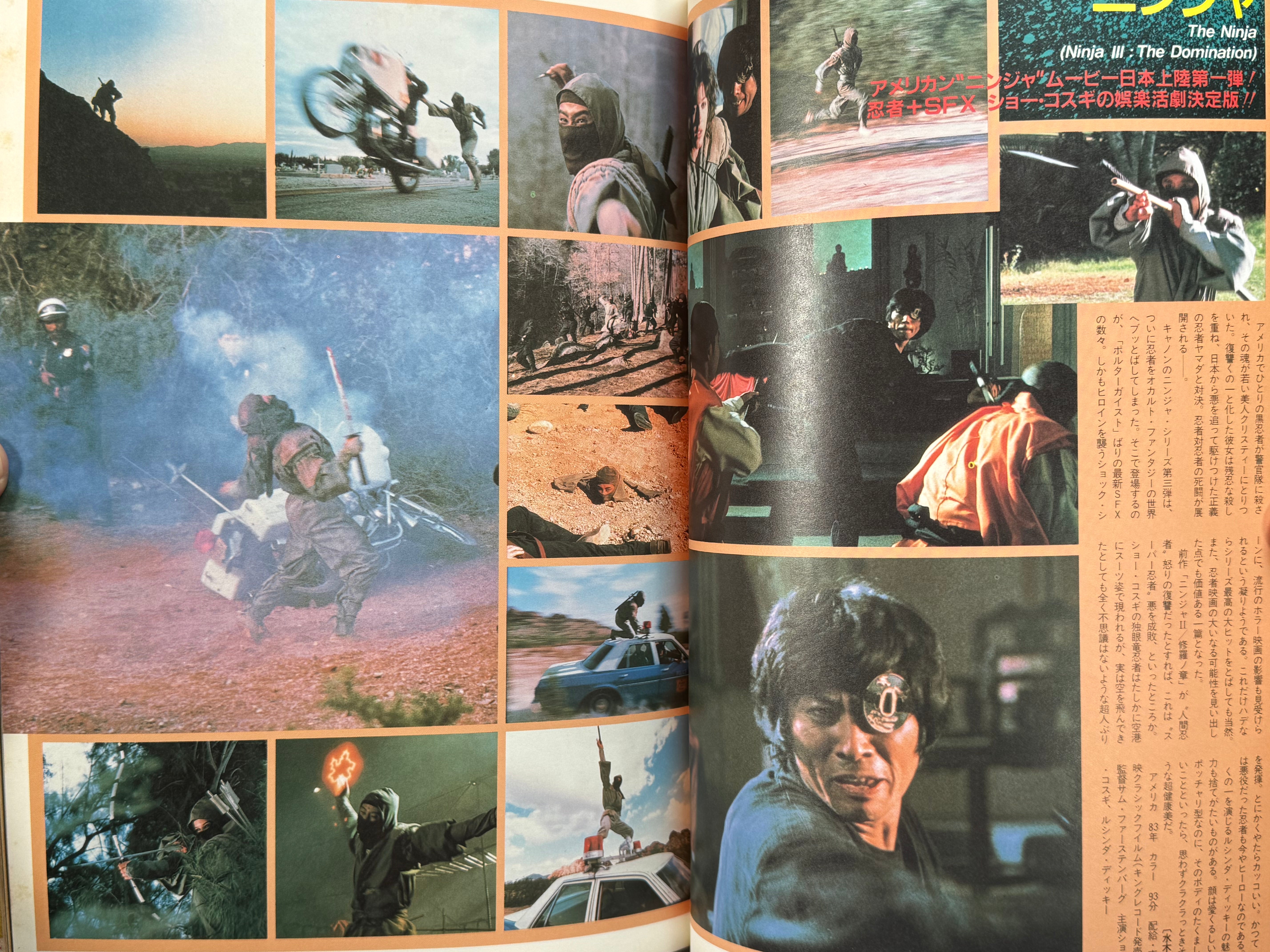 The Ninja Movies (1987)
