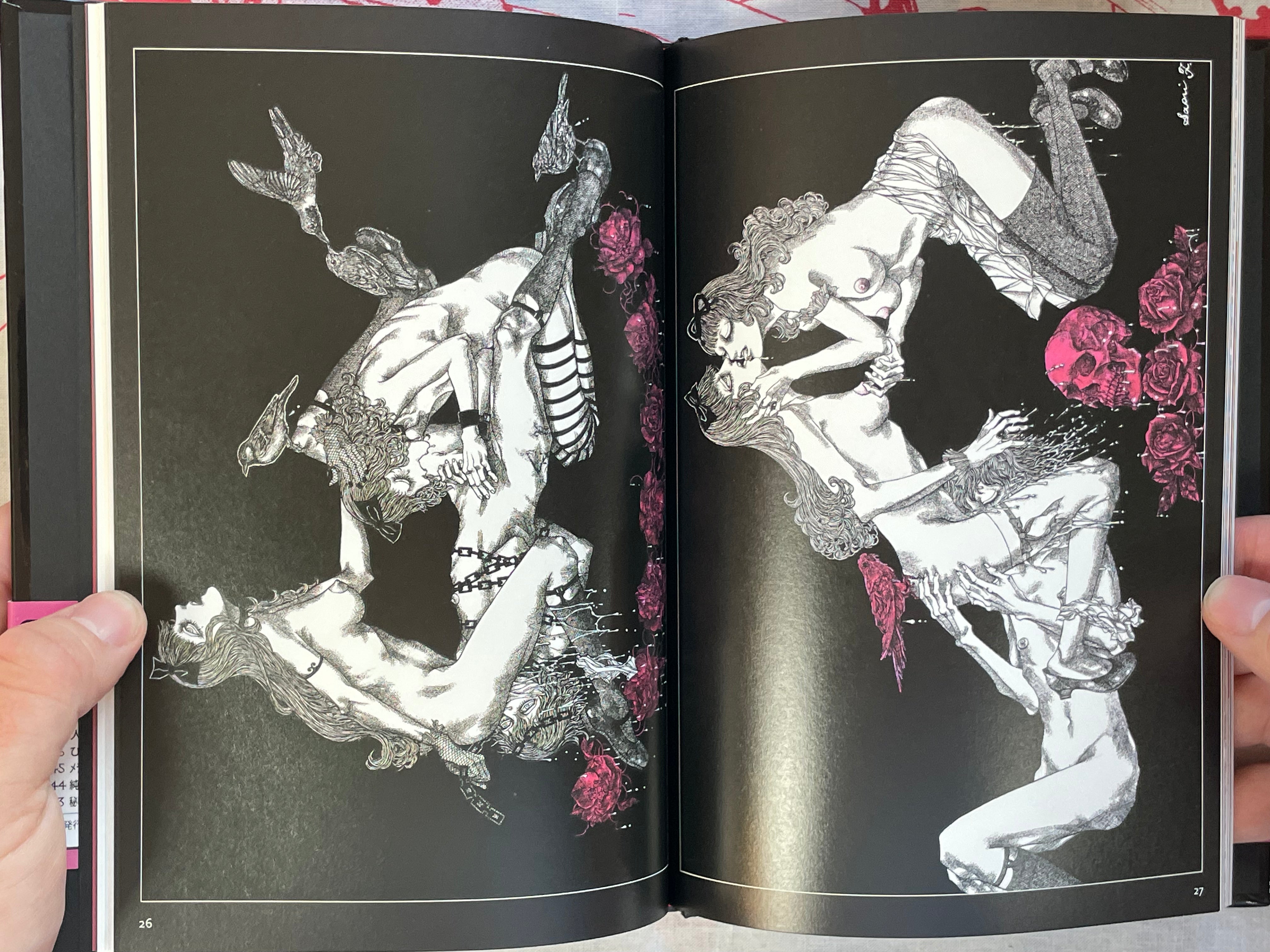 L'aventure de Mademoiselle Pipi by Saori Furukawa (2011)