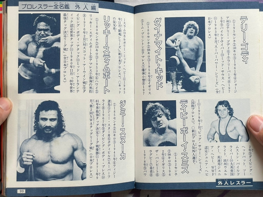 Definitive Edition: Introduction to Pro Wrestling by Big Wrestler (1984)