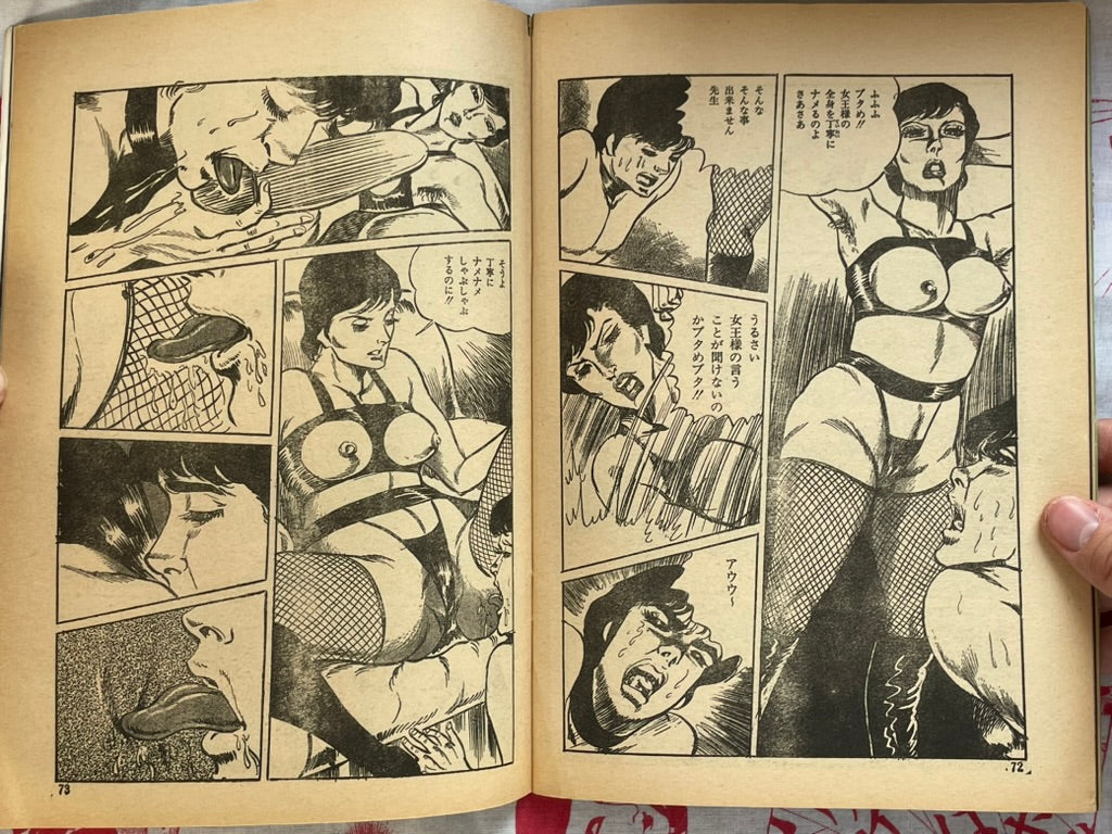 Secret Report (1970s)