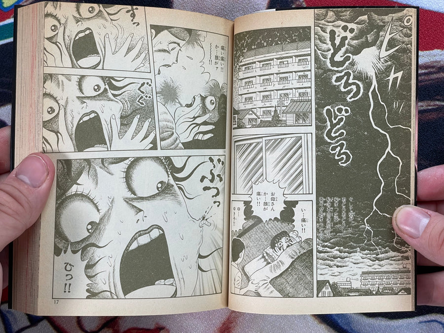 Black Bunko Collection: Decomposing Girl by Hino Hideshi (1997)