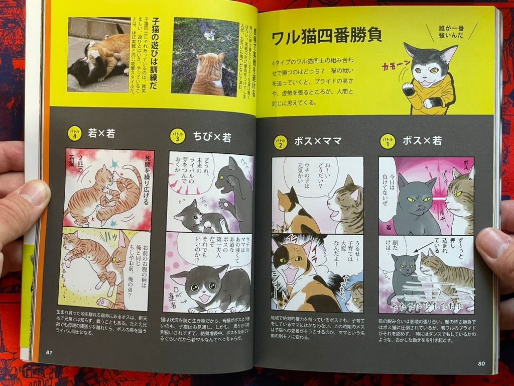 I'm A Bad Cat by Minamihaba Shunsuke (2016)