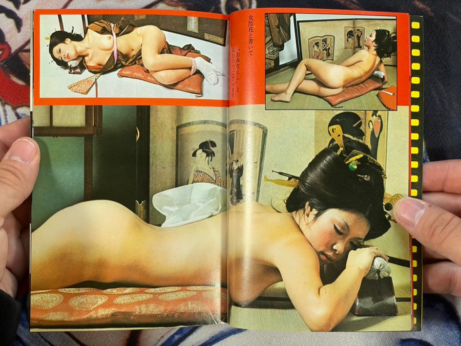 Pocket Girly Magazine (4/1972)